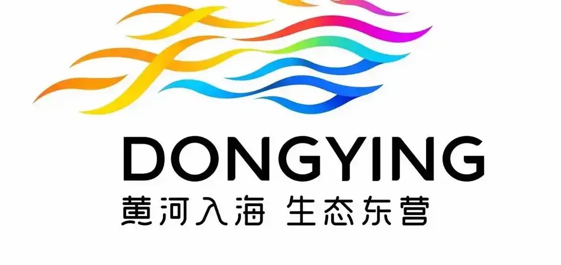 东营网站设计新标杆：如何用匠心打造企业数字名片，让流量变留量