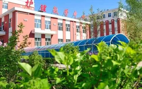齐齐哈尔网站建设专业服务，助力企业腾飞