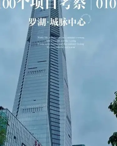 深圳罗湖网站建设：深度定制，赋能企业长效增长