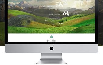 网站制作建设实用指南：从零到上线全流程