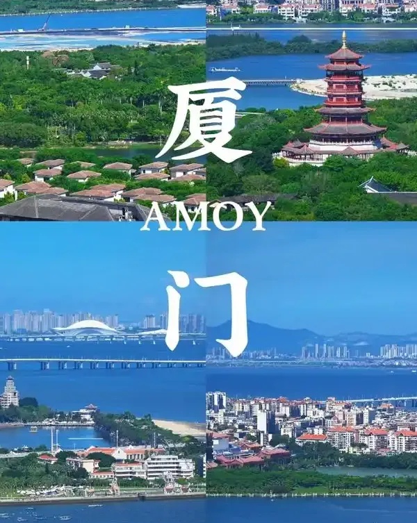 厦门网站制作:实用为先,直接提升业务转化