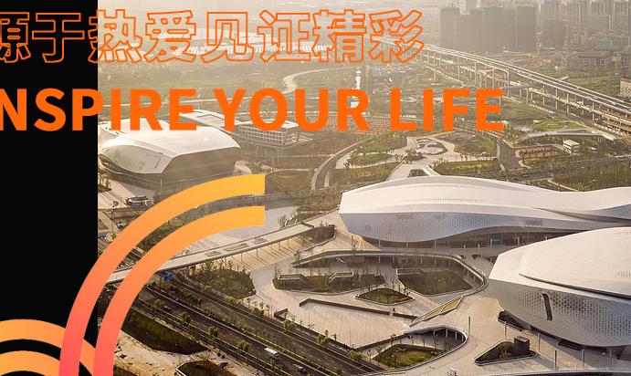 宁波网站设计：不止于美，更在于成就商业价值的数字匠心