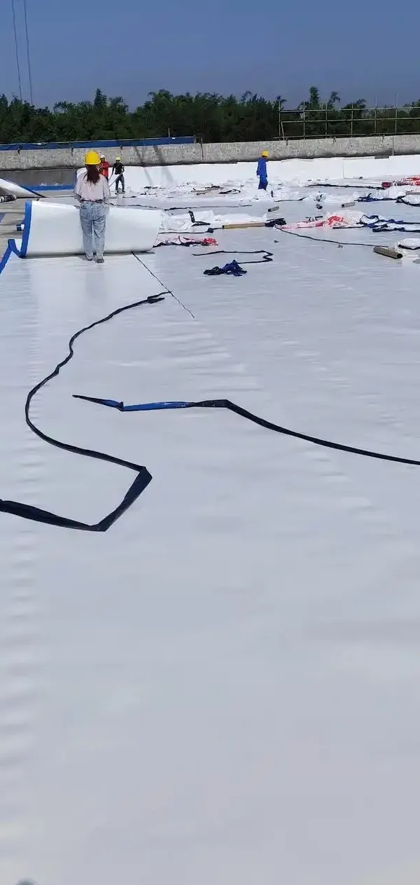 3大要点助你高效完成防水网站建设