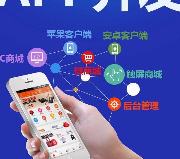 深度赋能,量身打造:定制开发App的完整价值链与实战解析