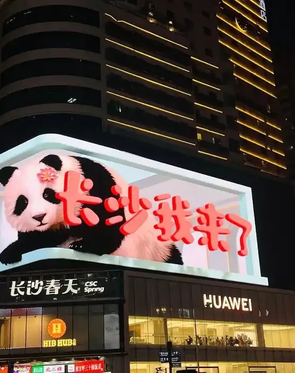 长沙微信网站制作，5步打造高效营销平台