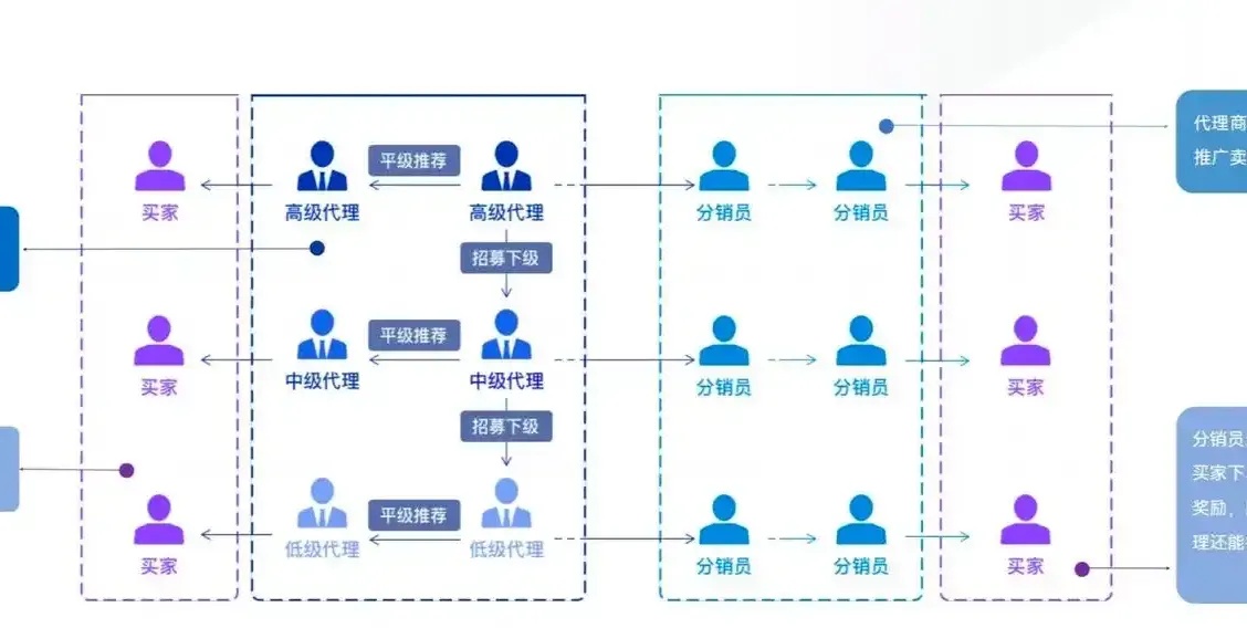 专业分销网站建设，高效搭建分销体系