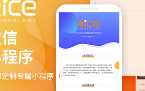 揭秘成都小程序开发费用真相：一份钱一分货，你的预算花对了吗