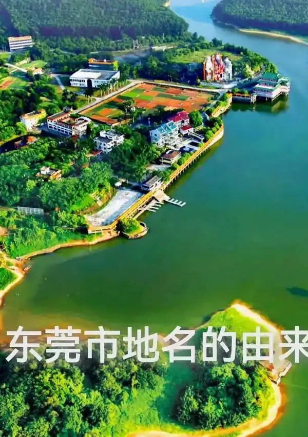 东莞网页制作实用攻略：从需求到上线一站式指南