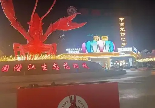 潜江网站建设:于水乡园林间,铸就企业数字时代的黄金名片