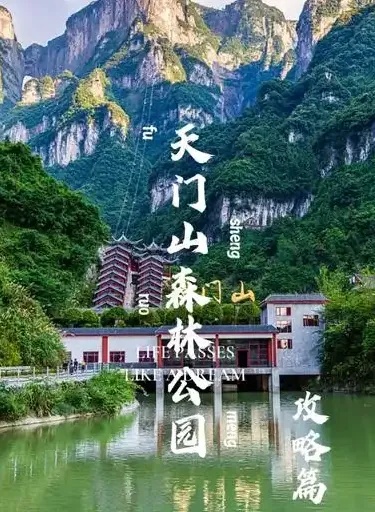 张家界网站制作深度洞察:从策略到落地的全案解析