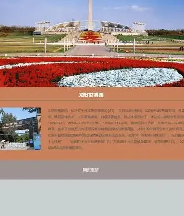 沈阳网页设计高端定制让品牌更出众