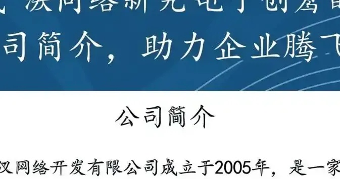 武汉网站开发公司TOP10:专业建站服务优选指南
