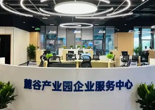 长沙SEO公司实用指南：选对服务，效果落地可见
