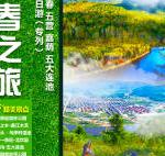 伊春网站推广的深度策略:从本地生态到全域流量闭环