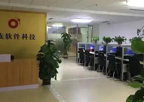 App公司2024年营收增长35%:创新驱动的数字化转型新标杆