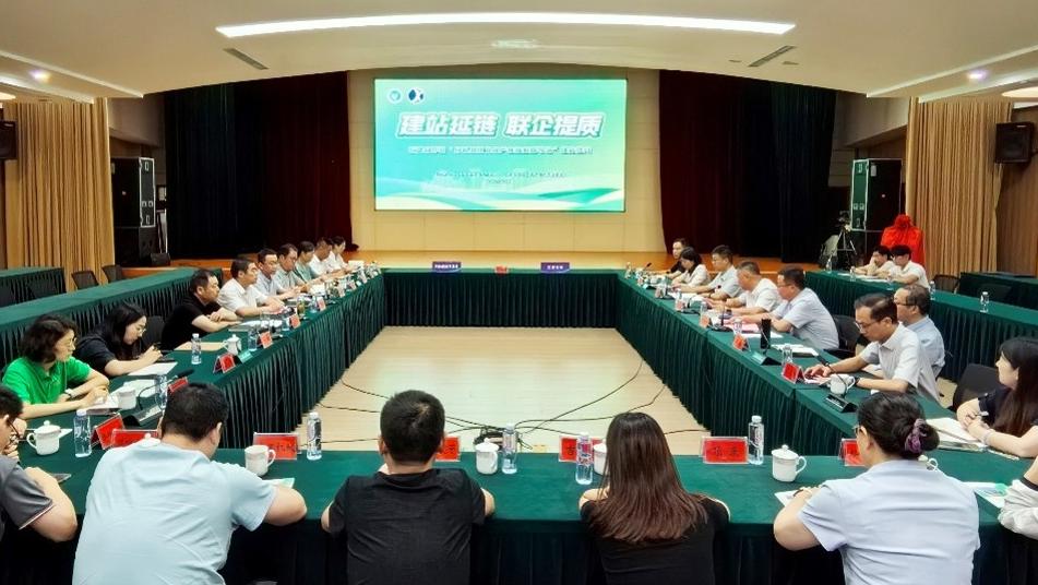 高效一站式专业建站合作服务为企业打造高转化率营销网站