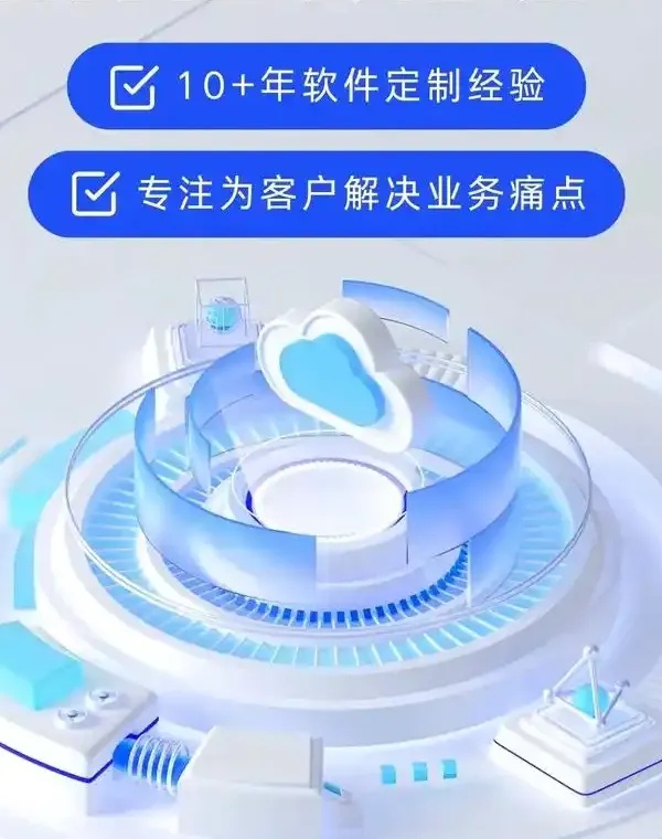 深度定制：软件定制公司的核心价值