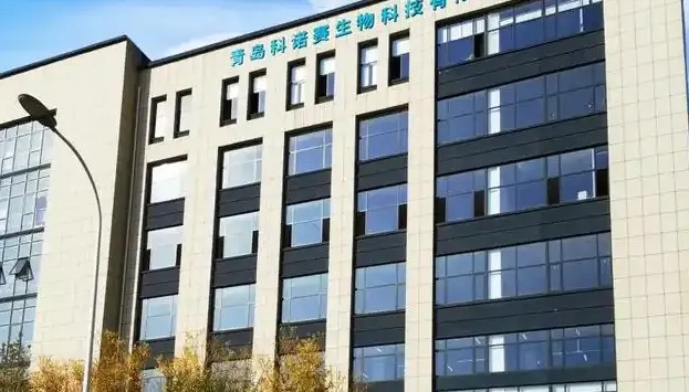 专业青岛网络推广公司助力企业精准营销提升品牌曝光与转化率