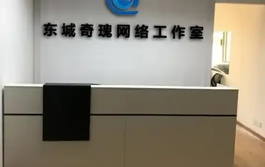 东莞网络的发展现状如何？