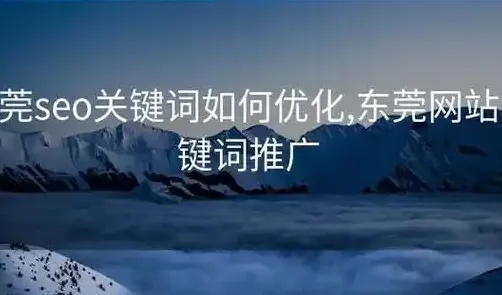 东莞seo优化推广定制方案助力企业快速提升网站排名获精准客户